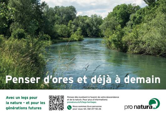 Image de l'annonce bouchon «Rivière»